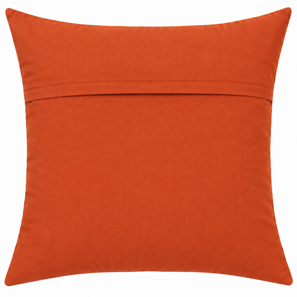 Back view of cushion in plain rust orange with gold border